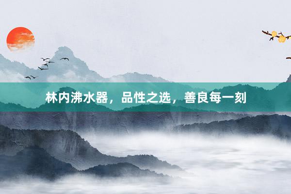 林内沸水器，品性之选，善良每一刻