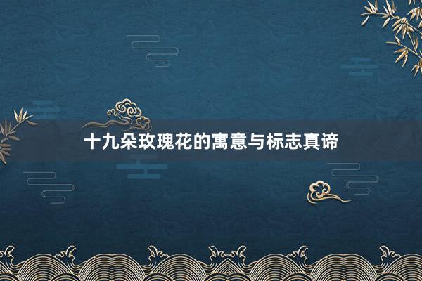十九朵玫瑰花的寓意与标志真谛