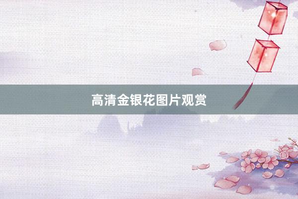 高清金银花图片观赏